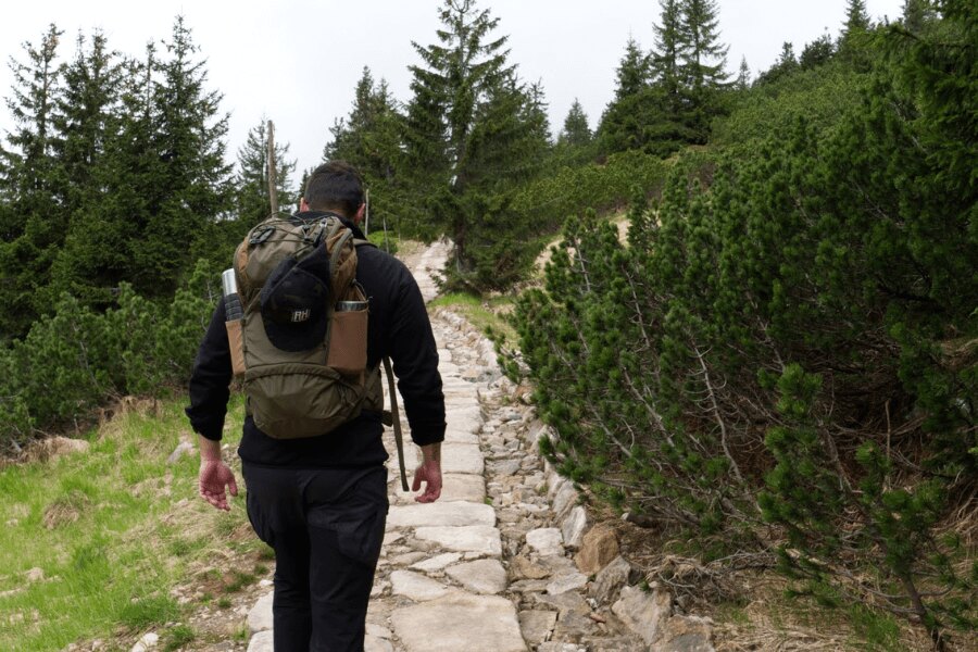 есенна суитшърт, outdoor, трекинг. Източник: TA