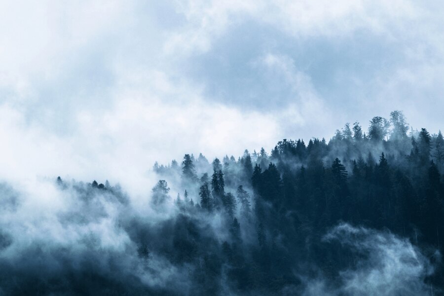 Природата през зимата. Източник: https://www.pexels.com/cs-cz/foto/ryma-svetly-krajina-hory-167699/