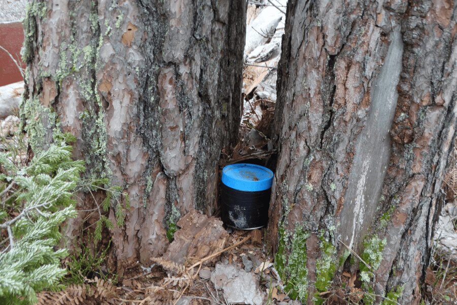 геокешинг, кеш скрит при дърво. Източник: https://commons.wikimedia.org/wiki/File:Geocaching_indelis,_Zypli%C5%B3_pu%C5%A1is.JPG