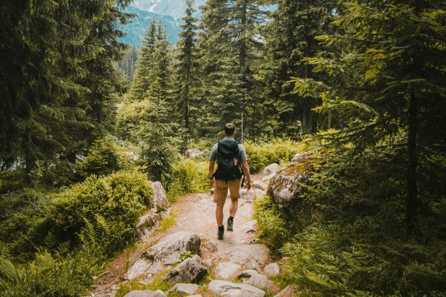 Мъж с раница при туризъм в гората. Източник: https://www.pexels.com/cs-cz/foto/priroda-muz-dovolena-chuze-2629233/