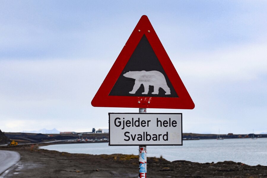Шпицберген, Норвегия. Източник: https://pixabay.com/cs/photos/%C5%A1picberky-skandin%C3%A1vie-severn%C3%AD-4763129/