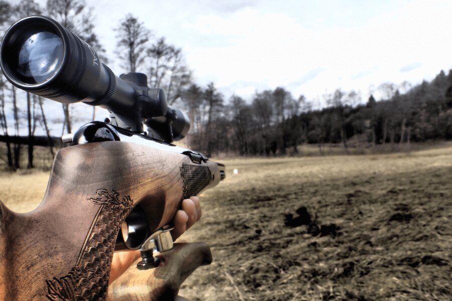 Въздушна пушка с оптика. Източник: https://pixabay.com/cs/photos/%C4%8F%C3%A1bel-diabols-airgun-zbra%C5%88-air-4919447/