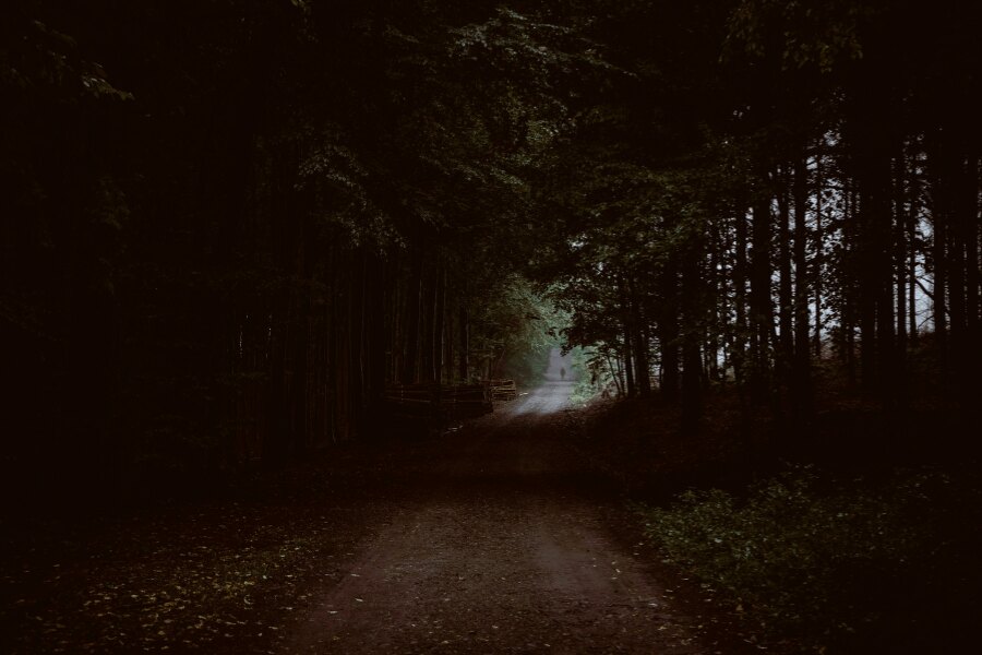 Гора в тъмното. Източник: https://www.pexels.com/cs-cz/foto/priroda-tmavy-stromy-prostredi-5642818/