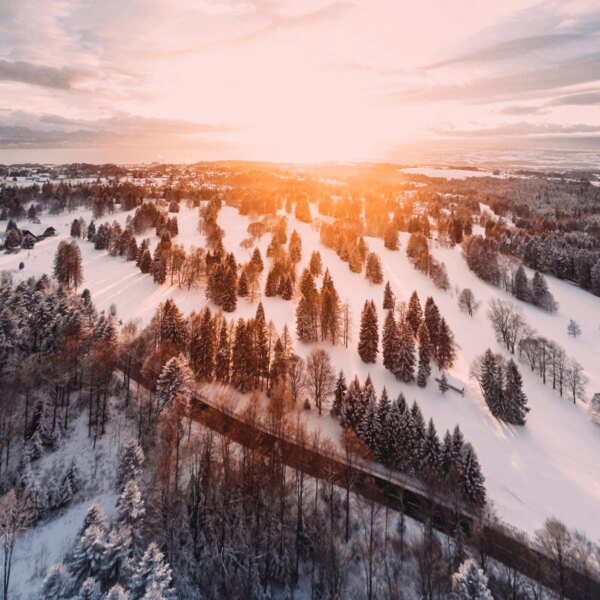 Изгрев и събуждащ се пейзаж. Източник: https://www.pexels.com/cs-cz/foto/1643773/