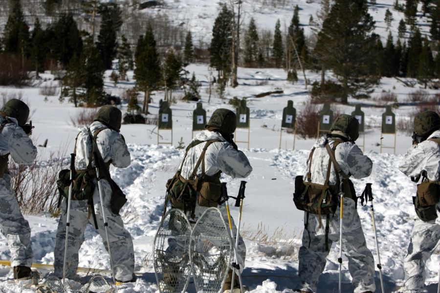 Камуфлажен модел MARPAT™ - зимен и снежен камуфлаж
