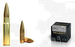 FMJ Sellier & Bellot® / .300 AAC Subsonic / 13 g - 200 grs / 100 бр