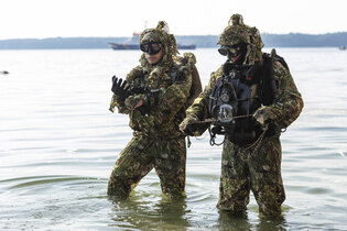 Камуфлажен костюм Diver Camo Ghosthood® IRR
