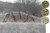 Камуфлажна мрежа Camo Net 6×8,5 m Ghosthood® IRR