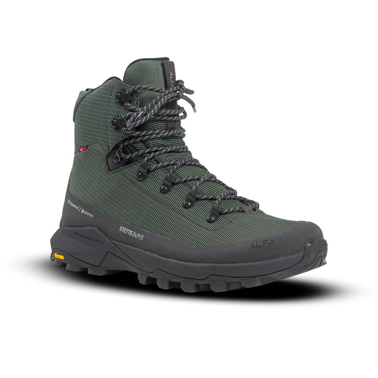 Мъжки туристически обувки Stette A/P/S/ GTX® Alfa®