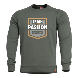 Суитшърт Hawk Train Your Passion Pentagon®